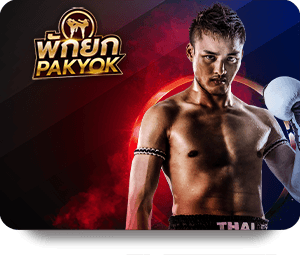 K8 Review Chuyên Môn: Đánh Giá Từ Chuyên Gia Đến Từng Chi Tiết
